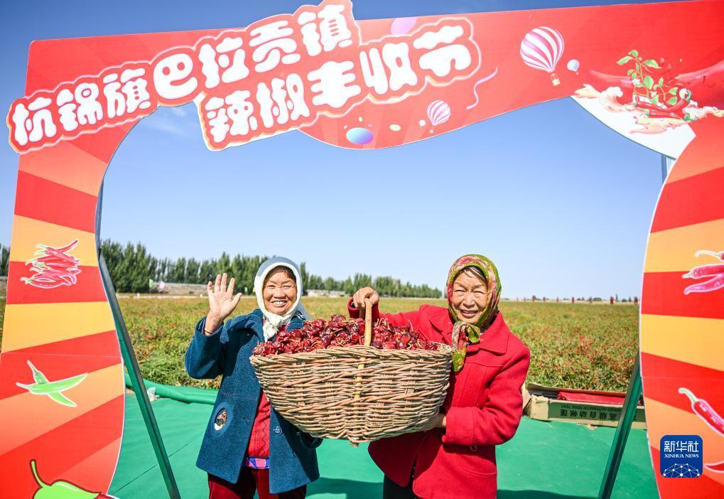 俄罗斯梯子游戏网站
